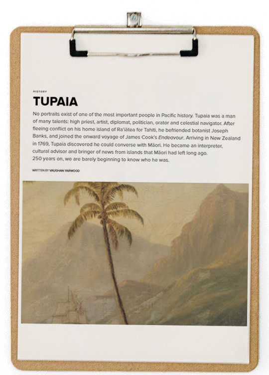 tupaia